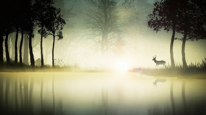 Deer walks by a misty lake with trees and reflections