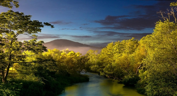 River flowing through trees with hills in the background