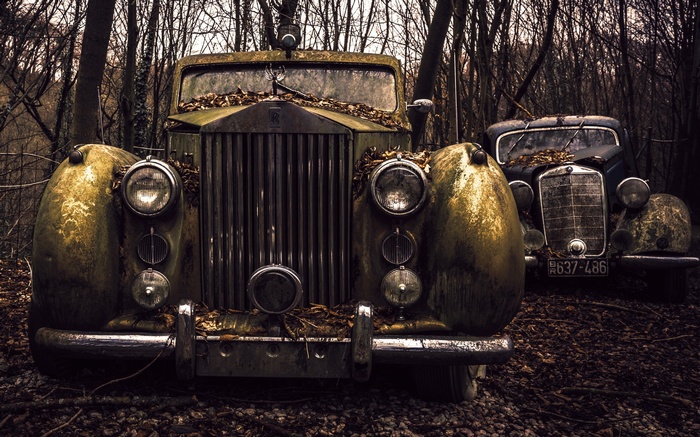 Two abandoned vintage cars in a forest
