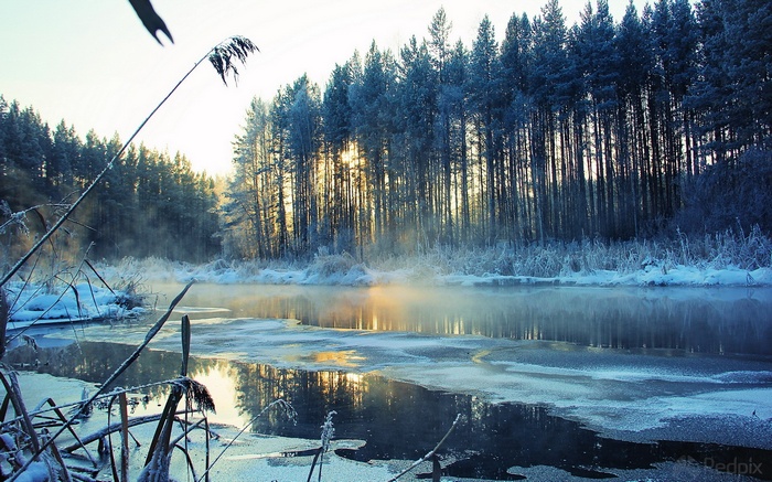 Winter landscape with a frozen river and forest