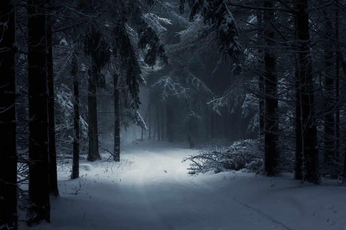 photography, snow, path, landscape, forest, atmosphere, fairy tale, winter, Hungary, mist, daylight, nature, trees