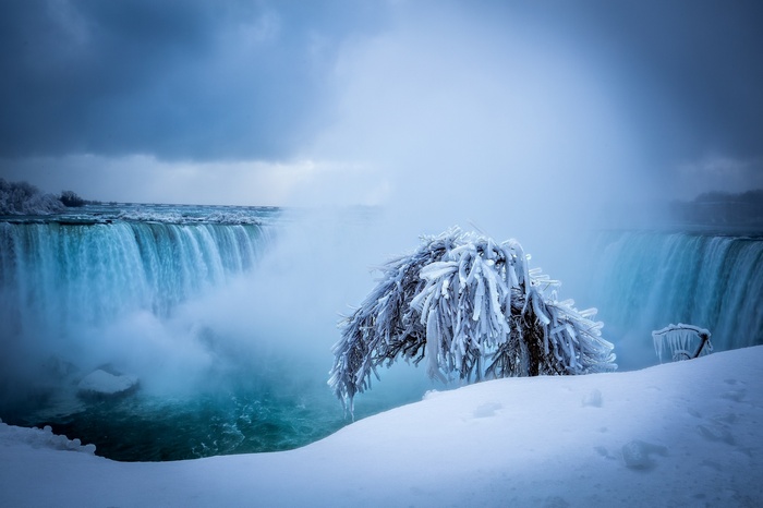 Niagara Falls in Winter with Frozen Tree