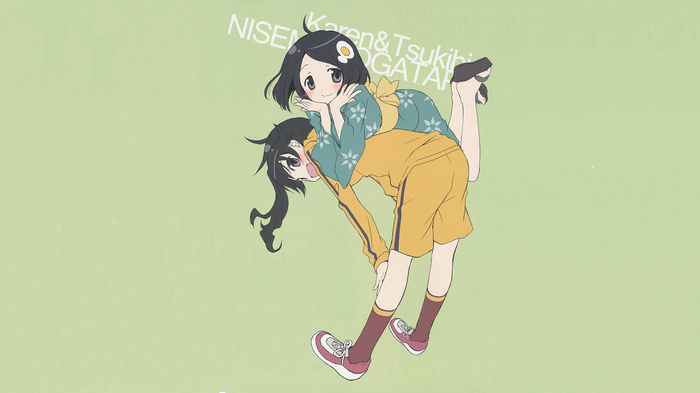 Karen & Tsukihi Araragi from Monogatari Series