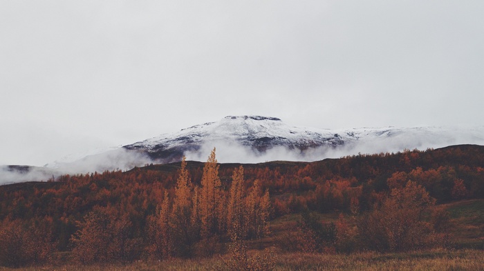 Snow-capped mountains over an autumn forest
