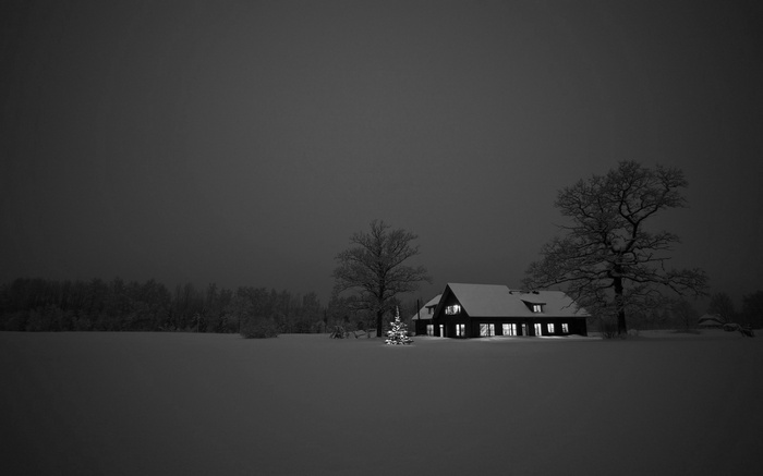 Snowy house with Christmas tree at night