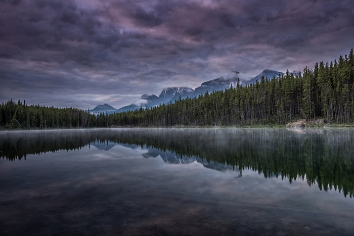 Misty lake and mountains with pine forest reflection