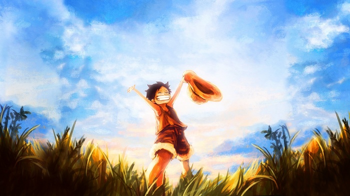 Monkey D. Luffy from One Piece in a grassy field