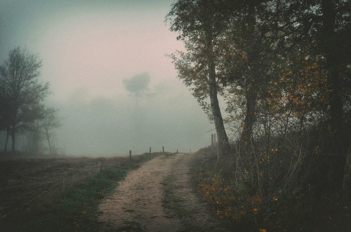 Dirt road through a misty landscape with trees and a fence