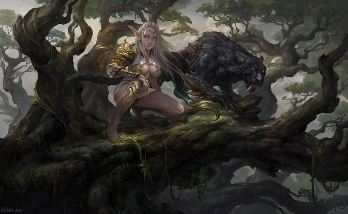 Elf warrior with panther in a forest