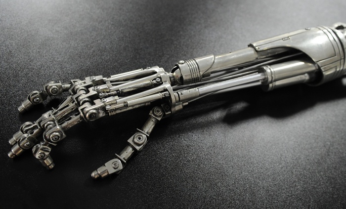 Terminator Endoskeleton Arm