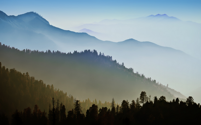 Misty mountains and forest layers