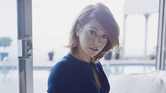 Alyson Hannigan in a blue dress
