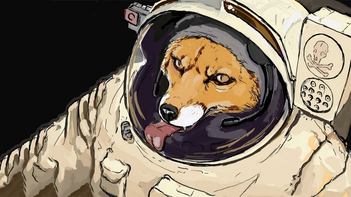 Fox in a spacesuit with tongue out