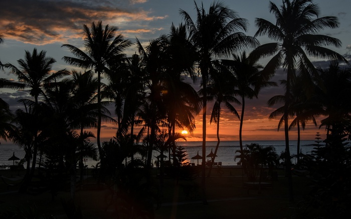 Sunset over the ocean with palm trees silhouette