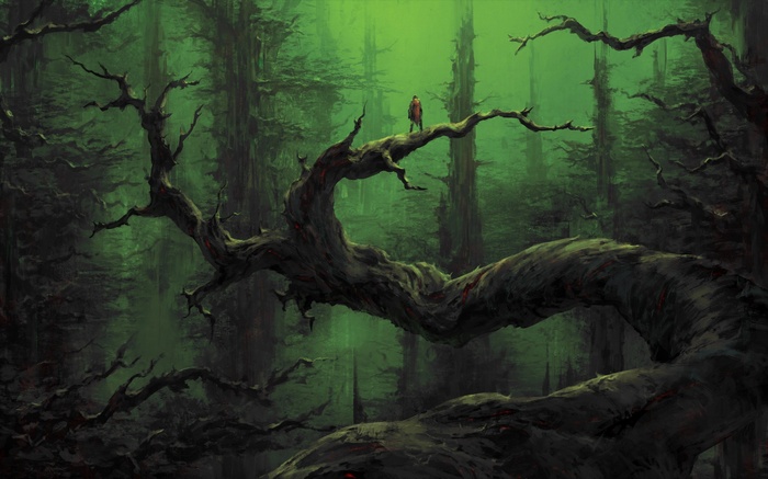 Man standing on a large tree branch in a dark forest