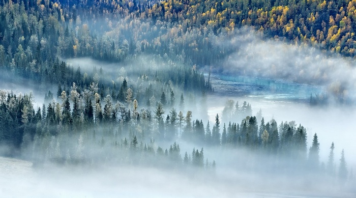 Misty forest and river in China during fall