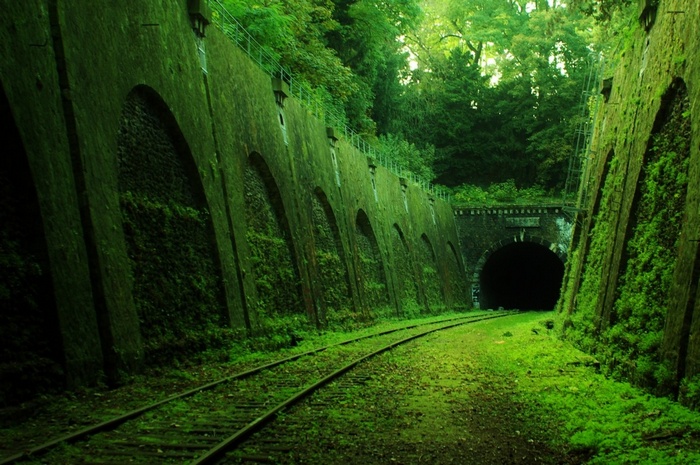 Abandoned railway tunnel overgrown with moss