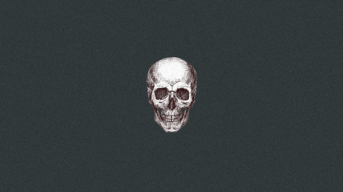 A detailed sketch of a human skull