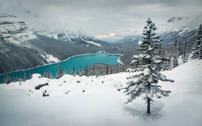 Snowy Mountains and Turquoise Lake in Banff National Park