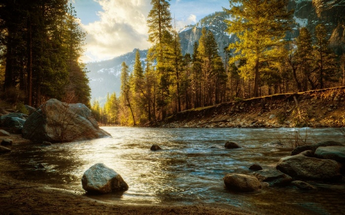 River flowing through a forest with mountains in the background