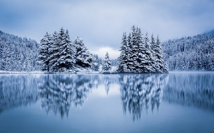 Snow-covered pine trees reflected in a calm lake