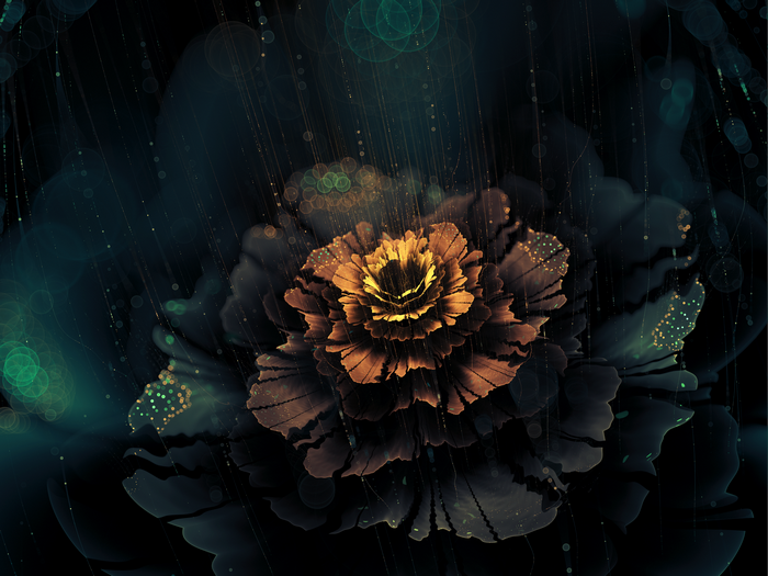 Fractal flower with rain and bokeh