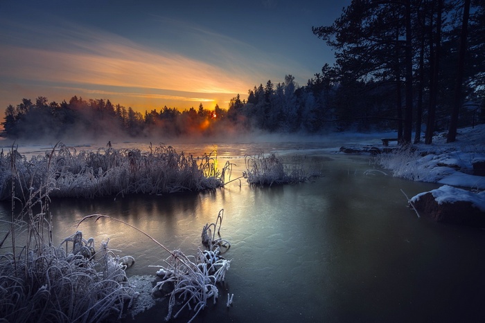 Winter sunset over a frozen lake with frosty reeds
