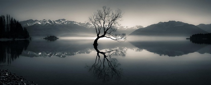 Lone tree reflected in a misty lake with mountains