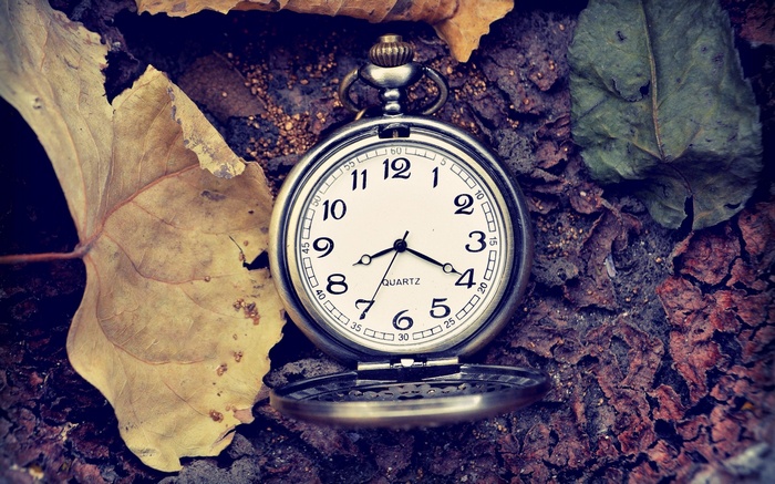 Vintage pocket watch on autumn leaves