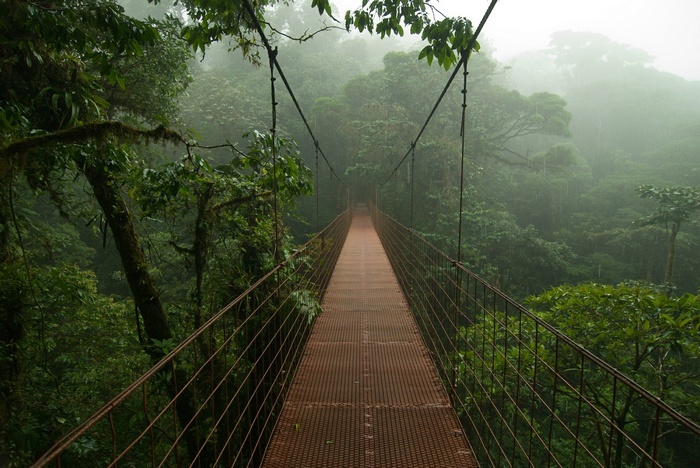Suspension bridge over a misty jungle in Costa Rica
