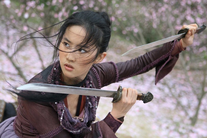 The Forbidden Kingdom woman with two swords