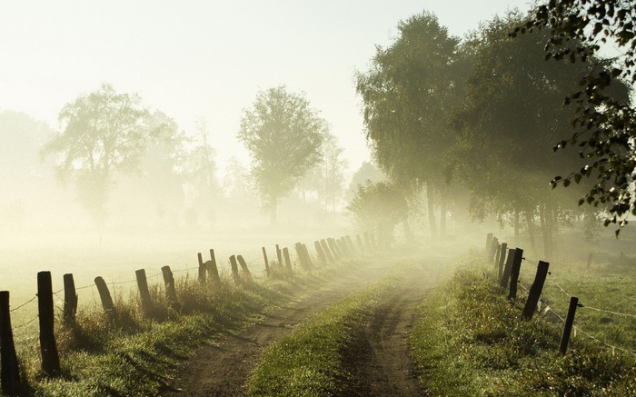 Dirt path through a misty field with trees and fence