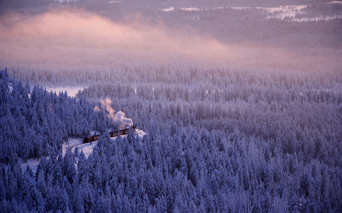 Steam train in a snowy forest in Germany