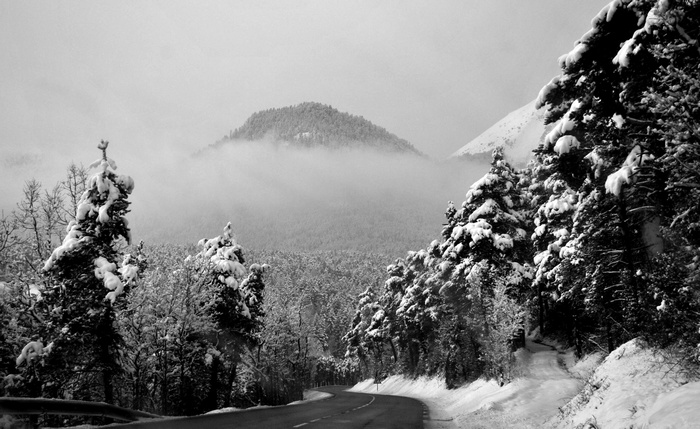Snow-covered trees line a winding road through misty mountains