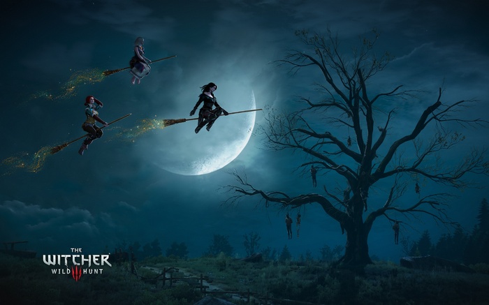The Witcher 3: Wild Hunt witches flying on brooms