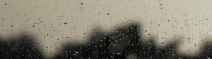 Raindrops on a window with blurred trees