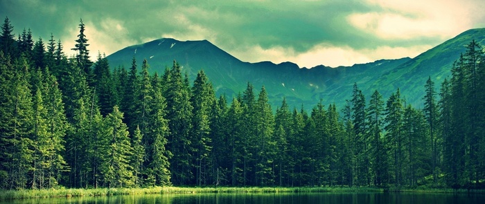 Mountain lake with pine forest and cloudy sky