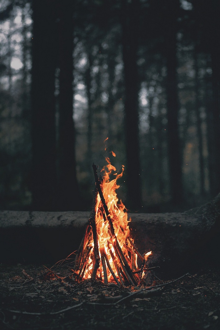 Campfire burning in a dark forest at dusk