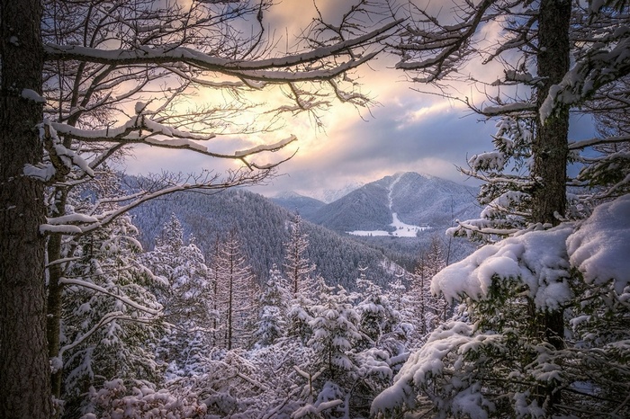 Snowy mountain landscape with trees and sunset in Poland