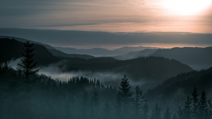 Misty mountains and pine trees in Norway at sunset