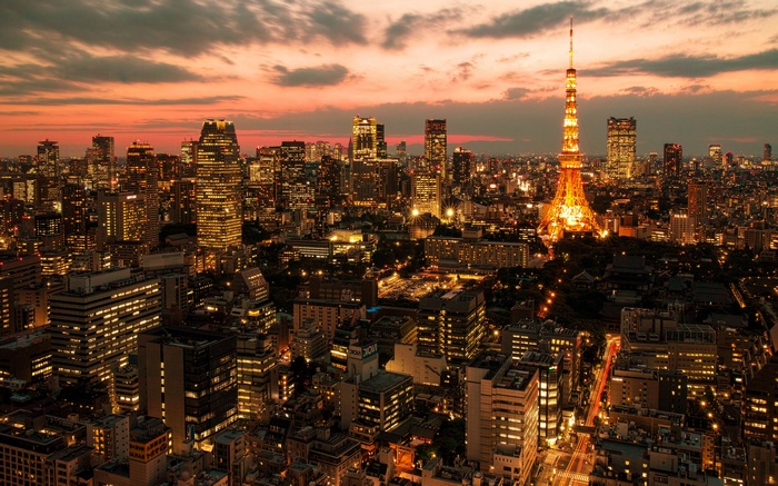 Tokyo cityscape at dusk with Tokyo Tower illuminated