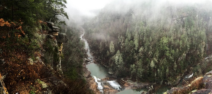 Georgia, forest, trees, stream, Tallulah Gorge, gorge