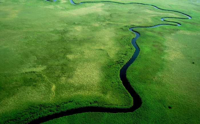 Aerial view of a winding river through a green marsh