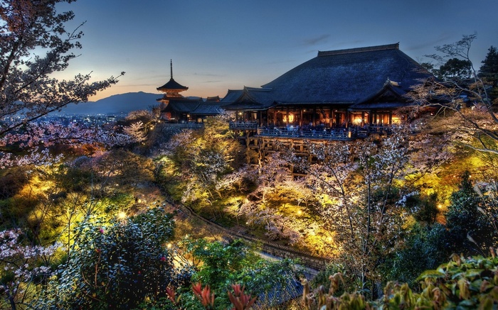 Kiyomizu Dera temple in Kyoto during cherry blossom season at dusk