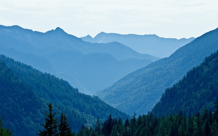 Blue mountain range with evergreen forest