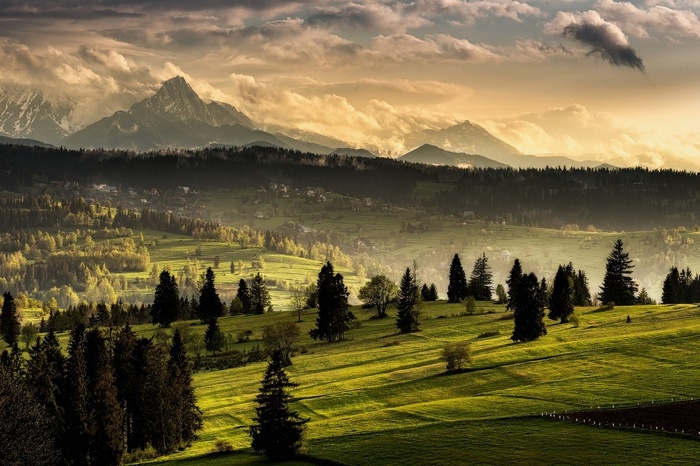 nature, forest, mist, snowy peak, Slovakia, village, clouds, grass, landscape, Tatra Mountains