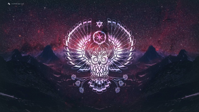 Stylized owl with wings spread against a starry sky