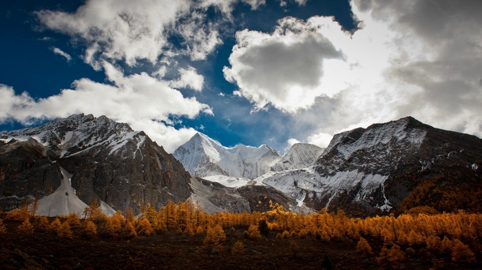 Snow-capped mountains and autumn forest under a cloudy sky