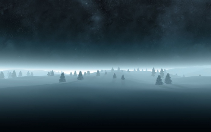 Winter landscape with trees under a starry night sky