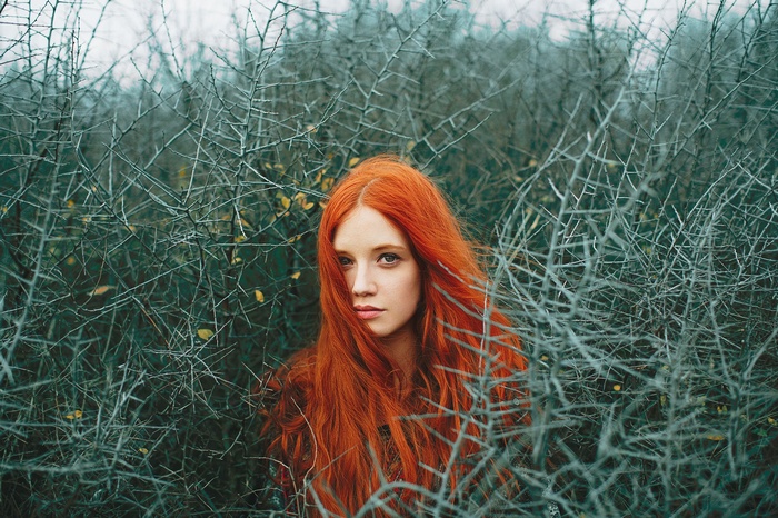 Redhead woman with long hair in thorny bushes